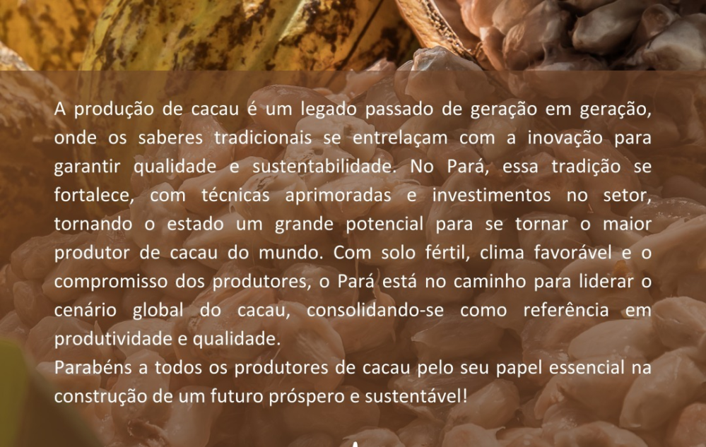 Sobre o cacau - dado 3