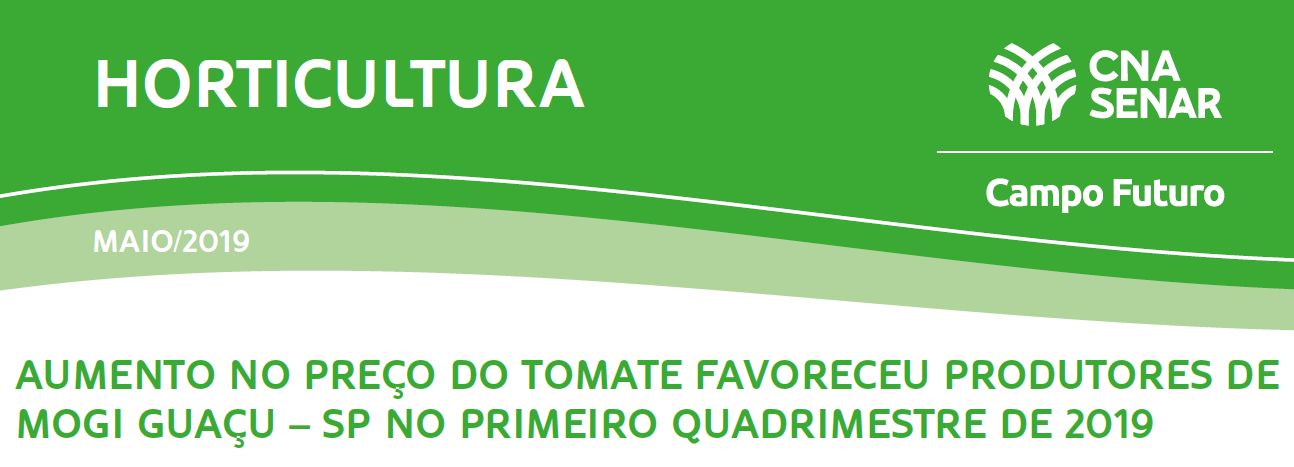 Aumento no preço do tomate favoreceu produtores de Mogi Guaçu– SP no primeiro quadrimestre de 2019