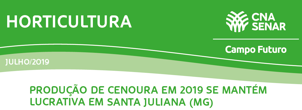 Situação econômica da produção de cenoura em Santa Juliana-MG