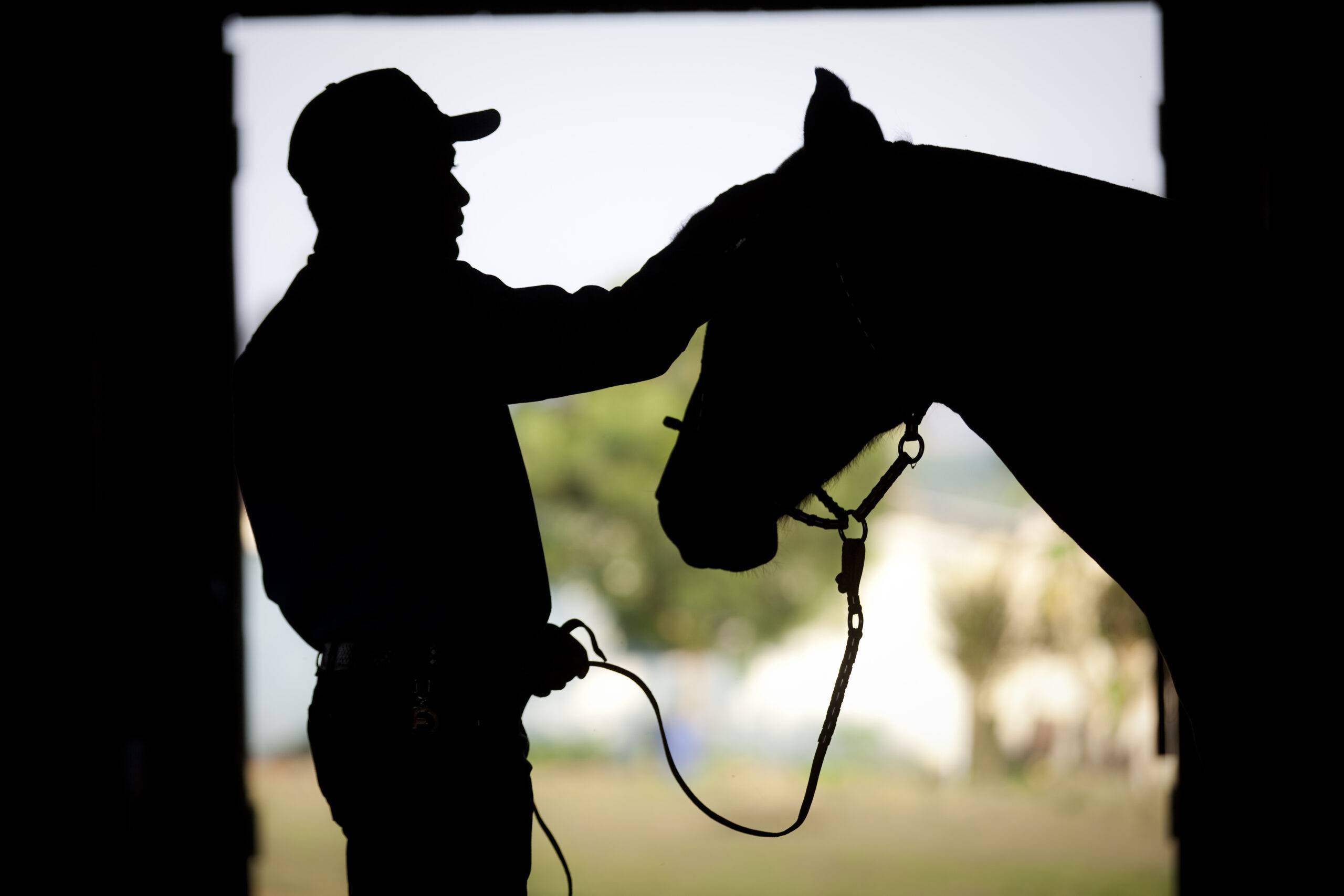 Capacitação em casqueamento melhora bem-estar animal e produtividade