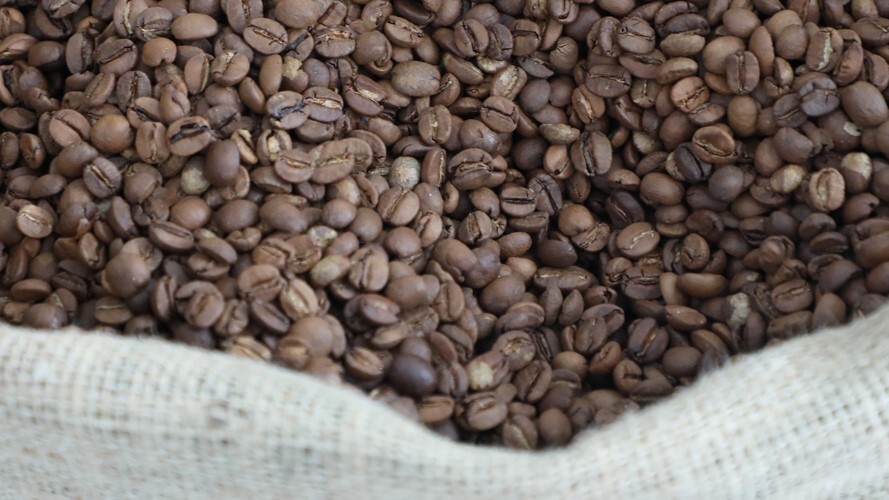 Qualidade na xícara garante dinheiro no bolso do produtor