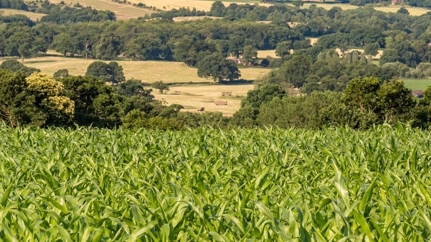 G7 apoia projeto que moderniza licenciamento ambiental no Paraná
