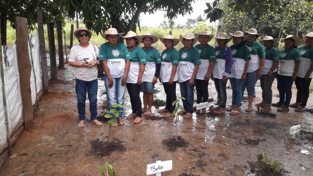 Comunidade Rosário Oeste resgata conhecimento sobre plantas medicinais