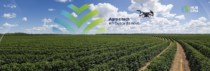 HUB CNA e PWC Agtech Innovation anunciam cooperação para ações de inovação no agro