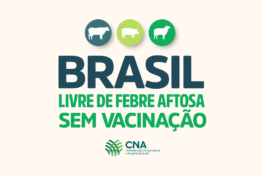 Aftosa – Perguntas e respostas sobre o novo status sanitário do Brasil TESTE