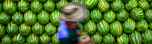 Fruticultura
