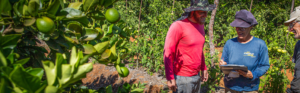 Empreendedores Familiares Rurais