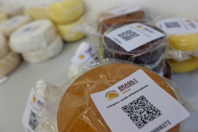 Especialistas avaliam amostras de queijo do Prêmio Brasil Artesanal