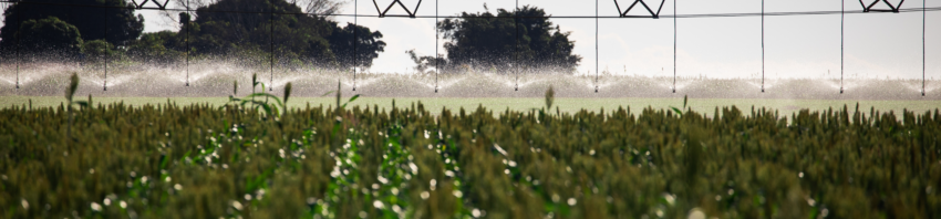 Agricultura Irrigada0 Agricultura Irrigada0