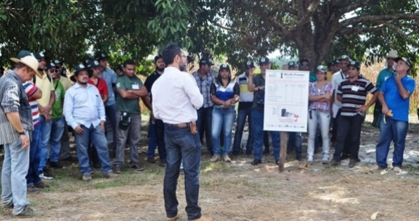 Publicacaoweb 0 922430002015150611581