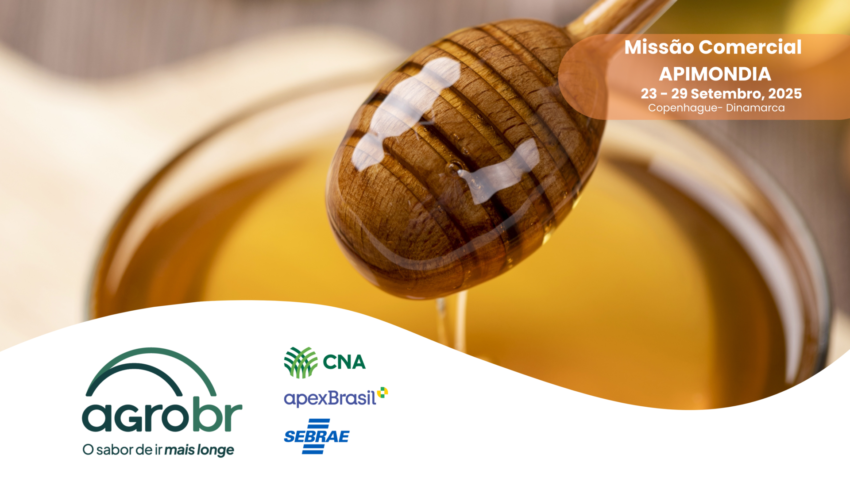 APIMONDIA PROVISORIO wide site 1350x1080 13