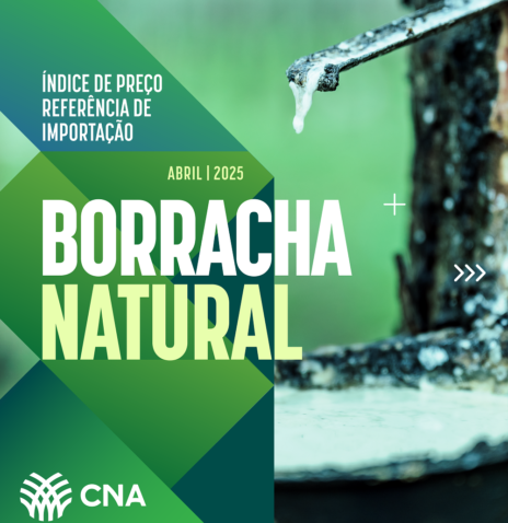 Carrossel indice borracha ABRIL 2025 1 Carrossel indice borracha ABRIL 2025 1