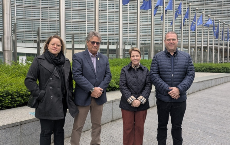 Peticao bruxelas