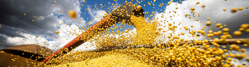 Commodities banner agro Commodities banner agro
