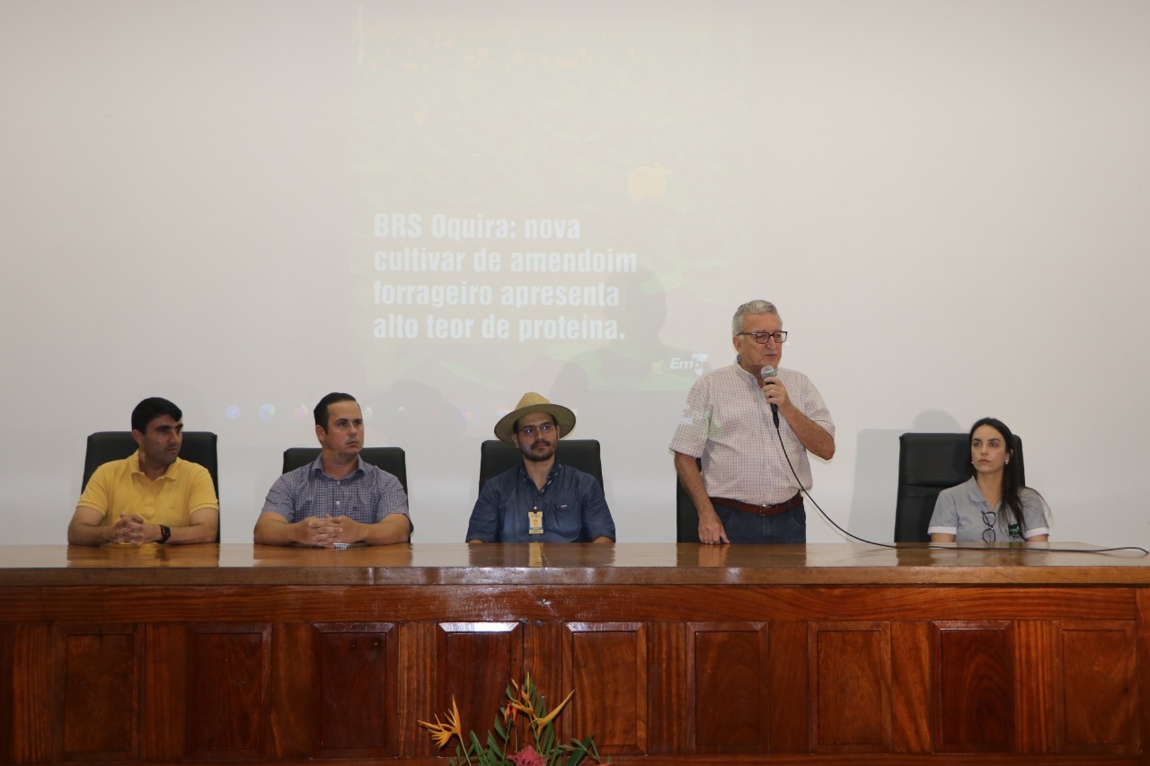 Nova cultivar do amendoim forrageiro é apresentado por pesquisadores do Acre em área experimental