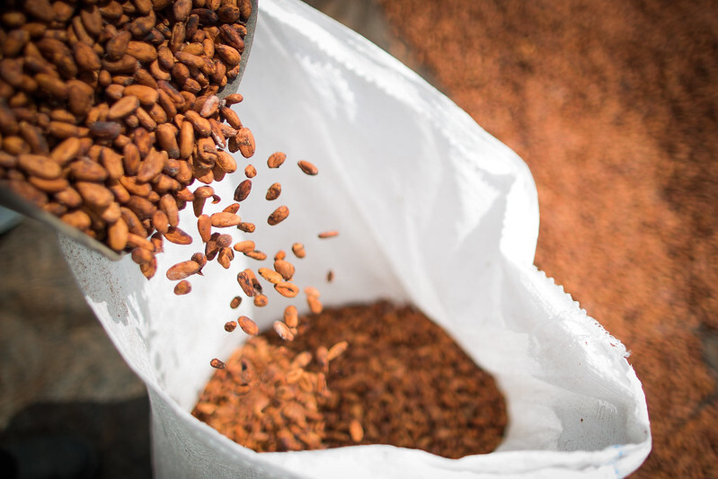 CNA vê como avanço aprovação de PL que define regras para produtos derivados de cacau