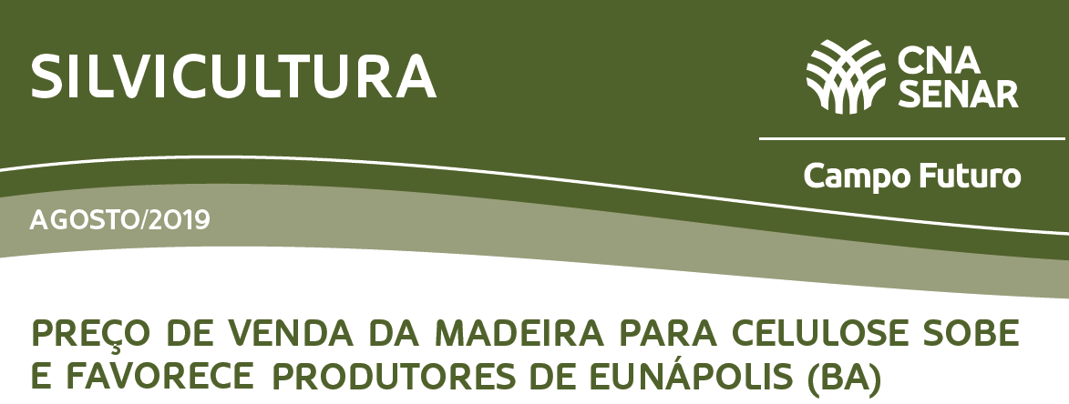 Preço da madeira para celulose subiu em Eunápolis (BA)